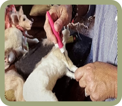 needle felted art in progress