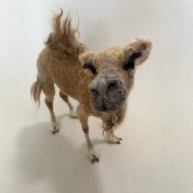gallery example camel