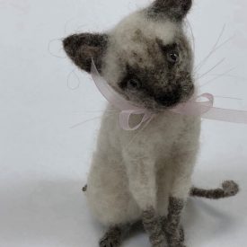 example kitten
